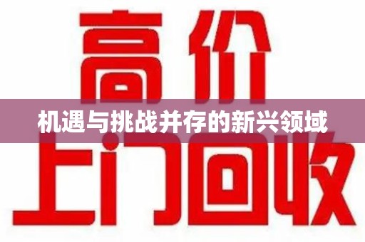 乌鲁木齐机遇与挑战并存的新兴领域