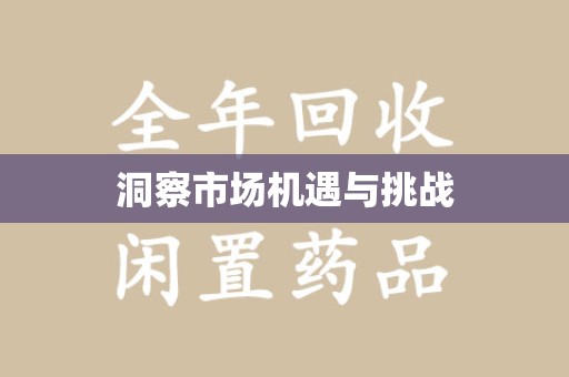 乌鲁木齐洞察市场机遇与挑战