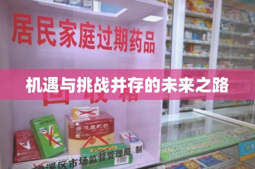 乌鲁木齐机遇与挑战并存的未来之路