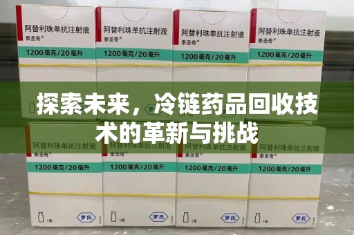 乌鲁木齐探索未来，冷链药品回收技术的革新与挑战
