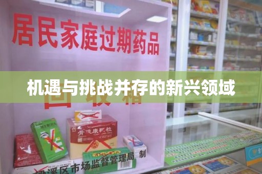 乌鲁木齐机遇与挑战并存的新兴领域