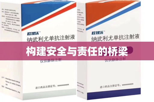 乌鲁木齐构建安全与责任的桥梁