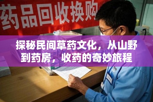 乌鲁木齐探秘民间草药文化，从山野到药房，收药的奇妙旅程
