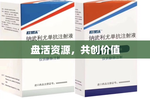 乌鲁木齐盘活资源，共创价值